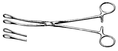 Fletcher (Javerts) Sponge Forceps, 9 1/2" (24.1 Cm), Curved